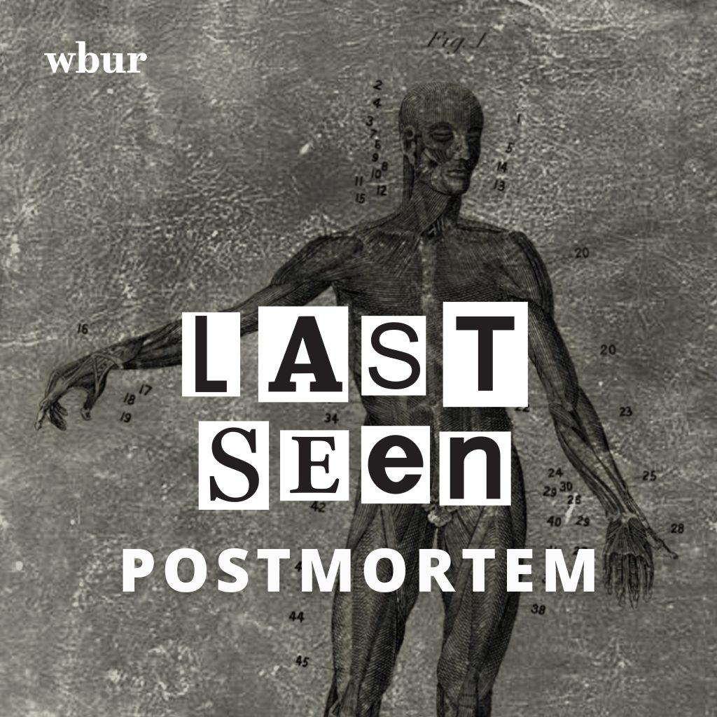 Last Seen podcast wordmark | lillian lee design & illustration