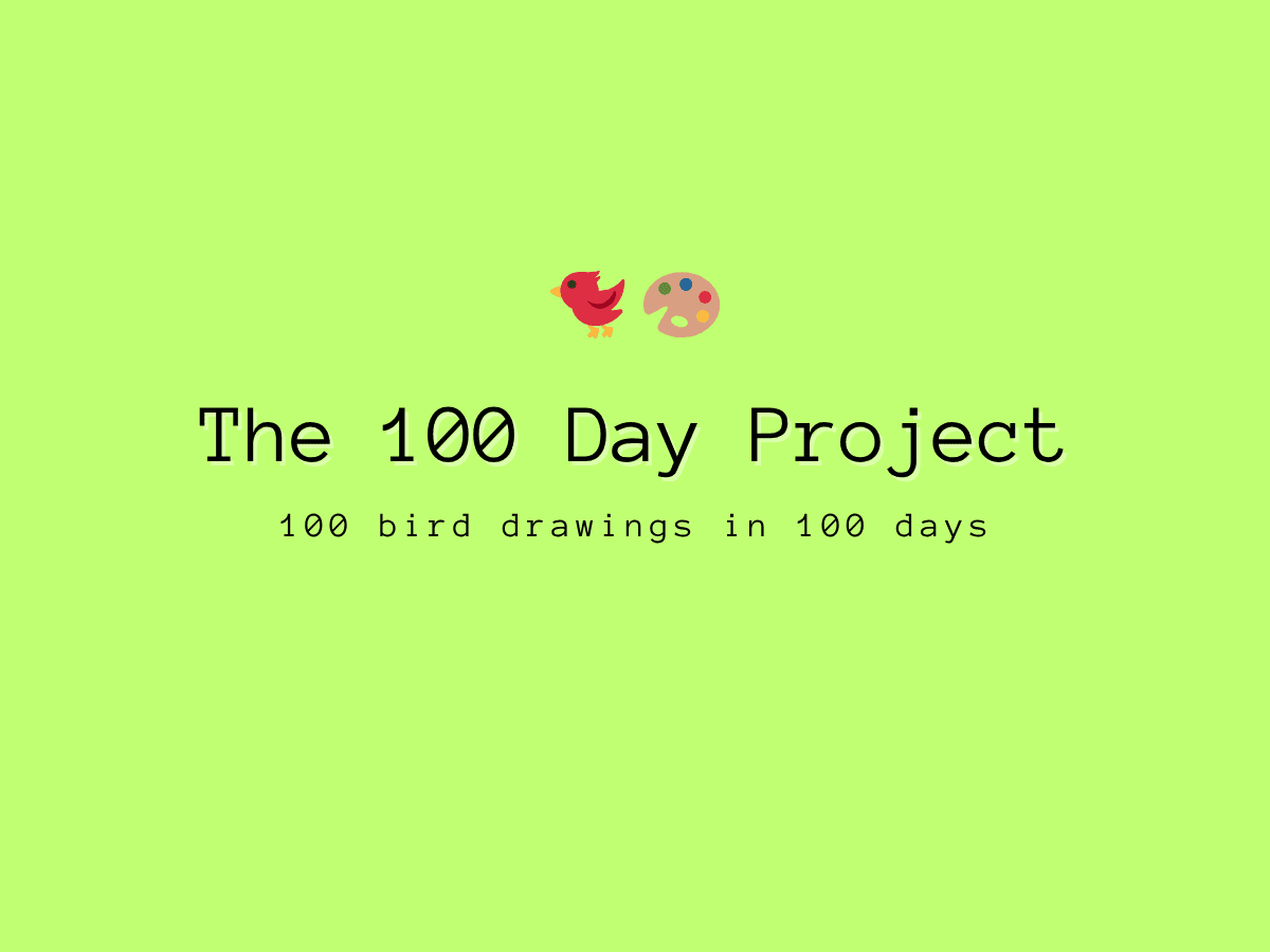 The 100 Day Project: 100 Bird Drawings in 100 Days