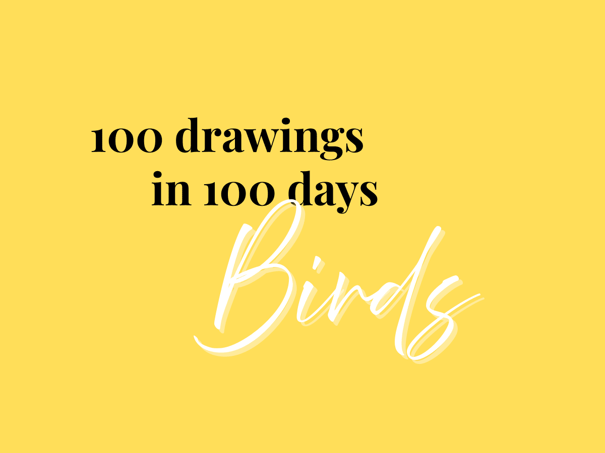 100 Bird Drawings in 100 Days