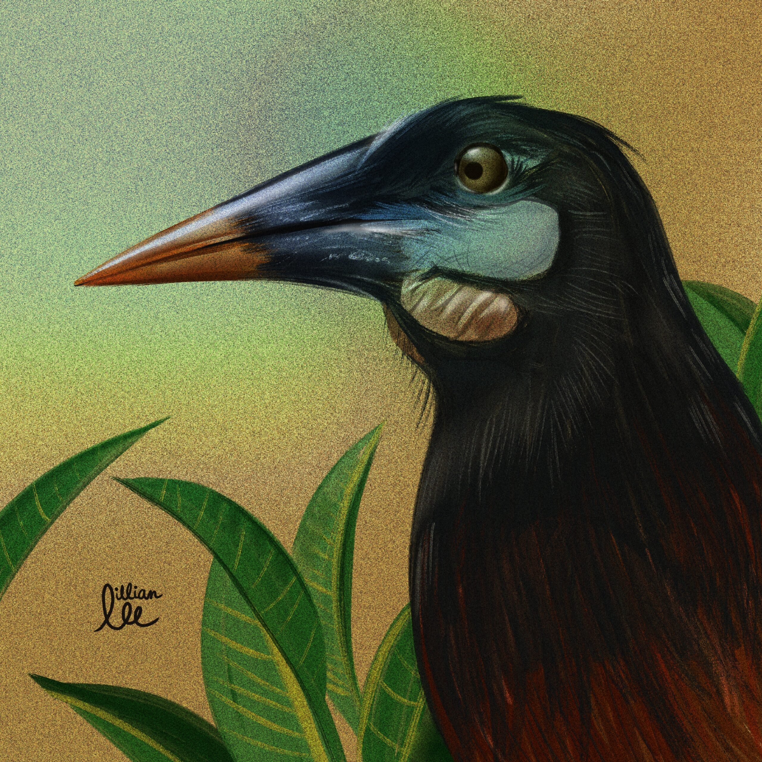 100 Bird Drawings in 100 Days