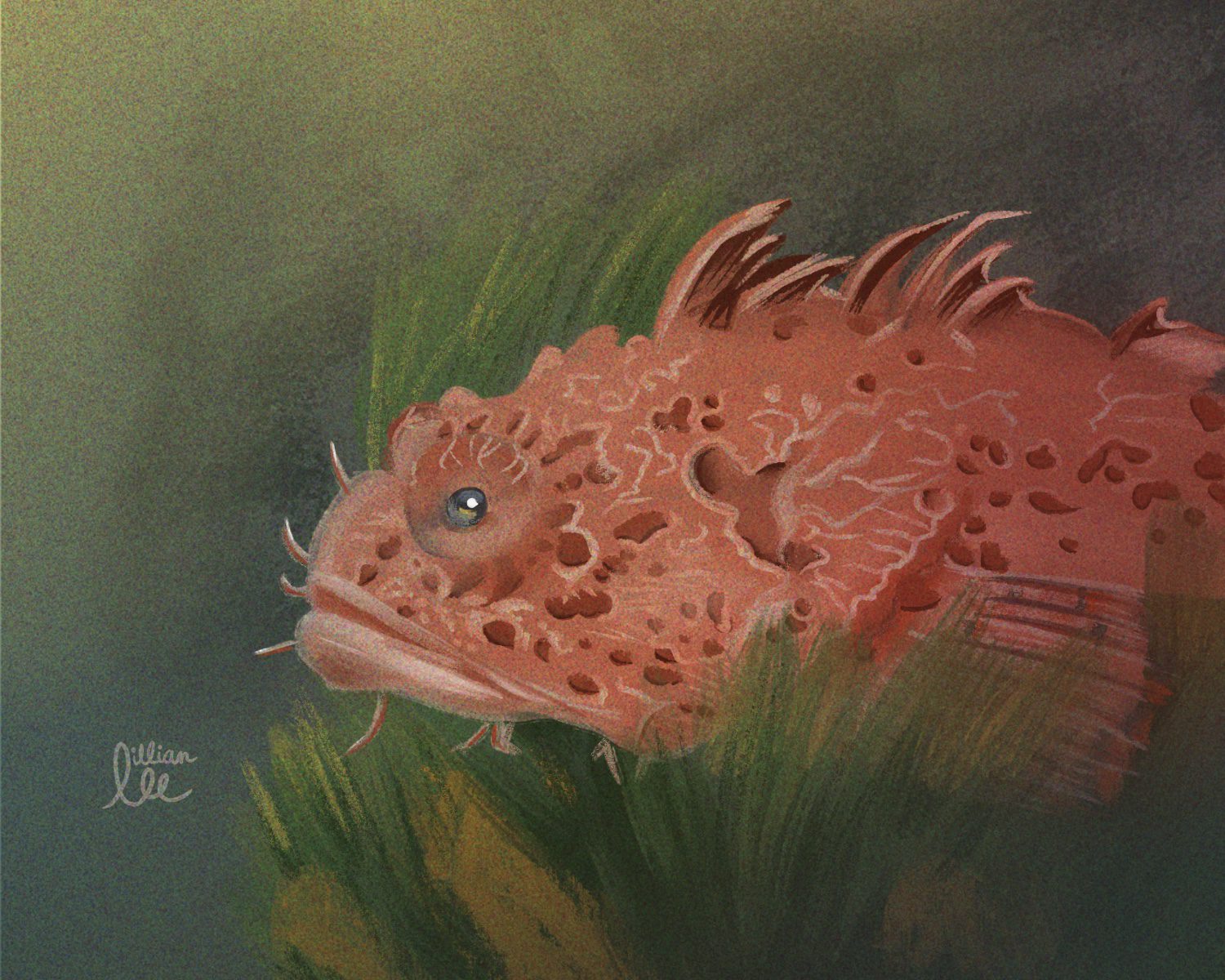 100 Aquatic Drawings in 100 Days