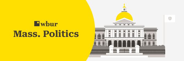 mass politics 2025 600x200