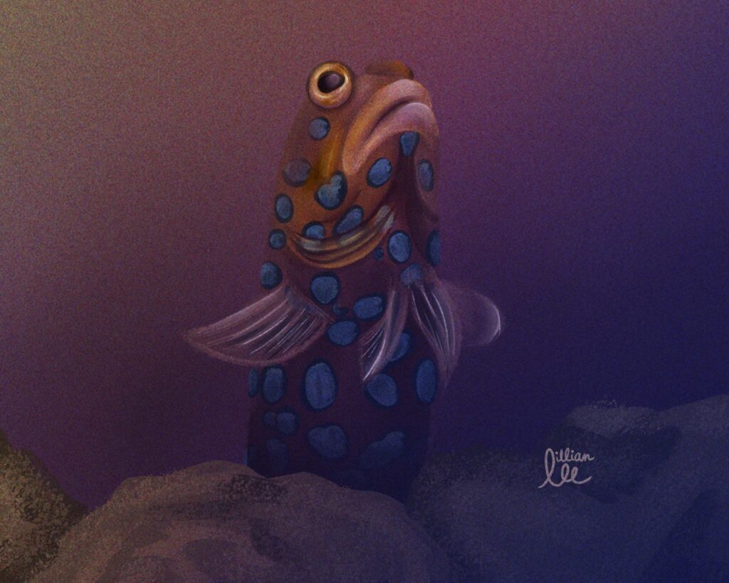 k eastern Pacificimg 3383